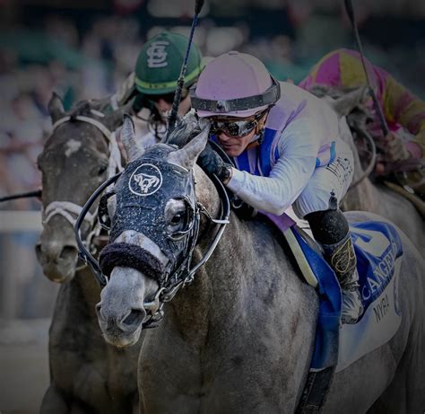 belmont stakes betting guide|Belmont Stakes Wager Guide .